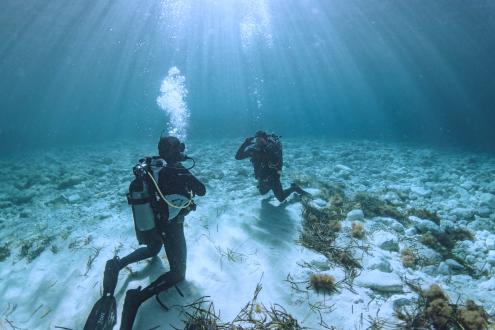 How To Get Scuba Diving Certification - Crystal River Watersports